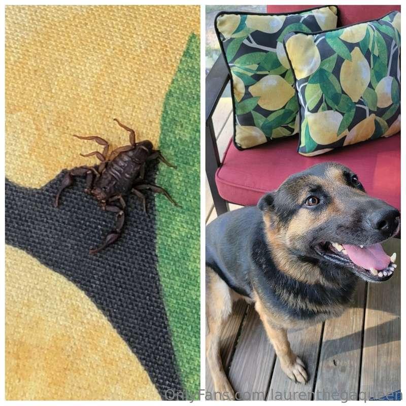 omg ya'll... my puppy son just saved my life!!!! 😅🤣

I was c..
