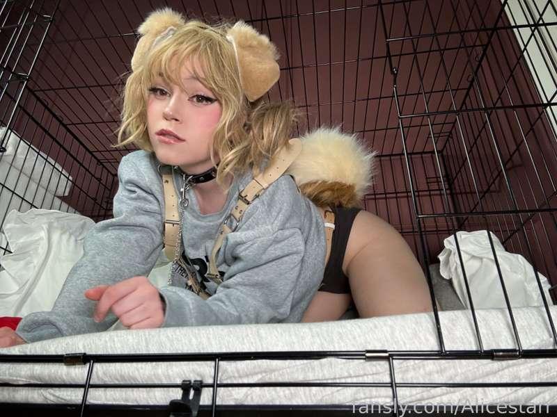 alicestarr image #0