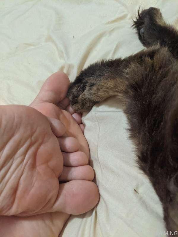 Sole to sole🐾