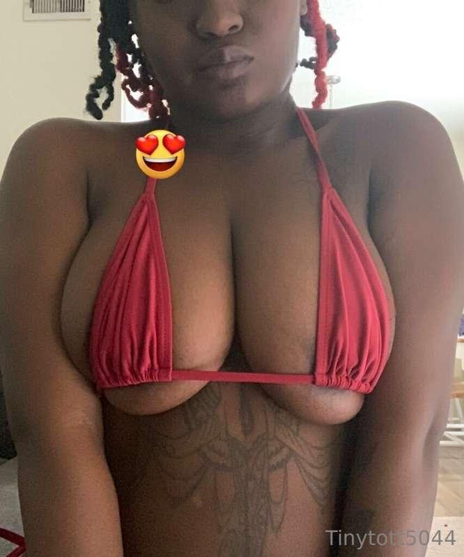 🤎 Tuesday 🤎