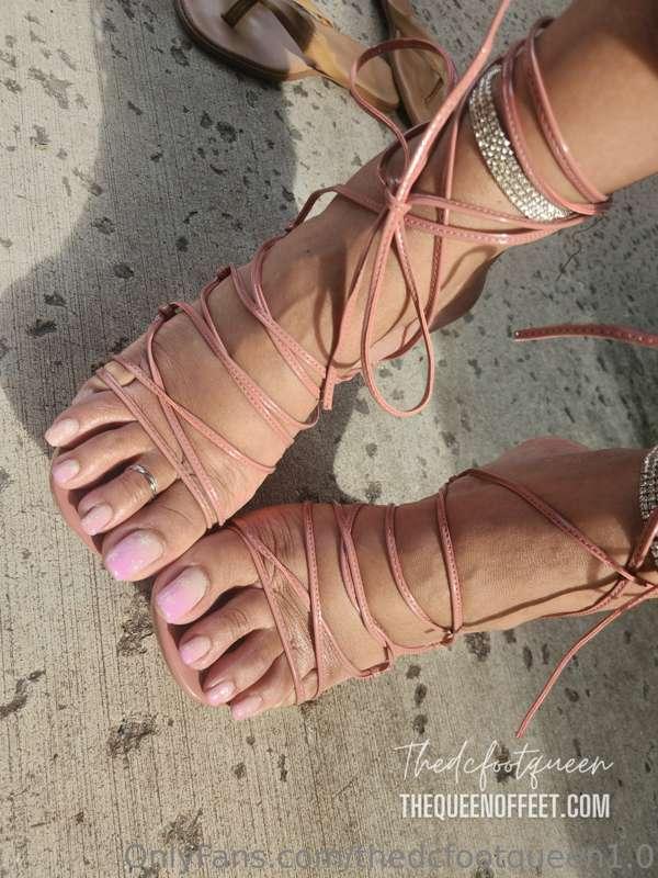 Announcements!
Cam shows and customs available. 🙃
-Tits and ..