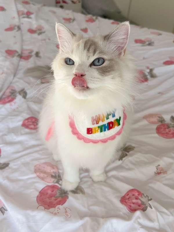 Happy Birthday to my sweet angel girl 💗 She needs some new t..