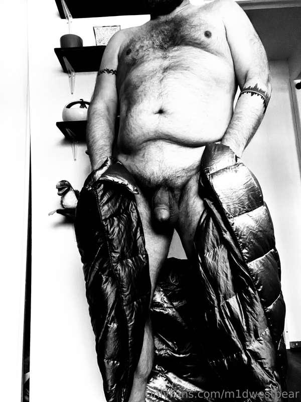 m1dwestbear image #2