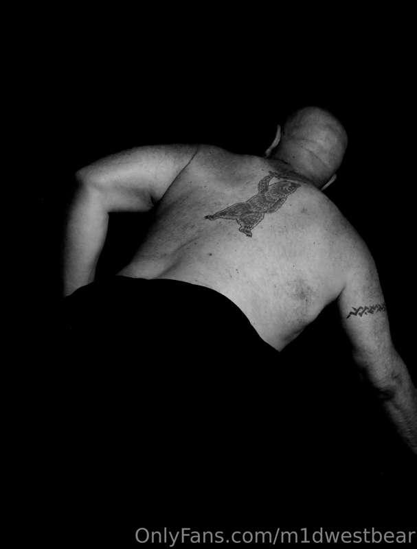 m1dwestbear image #22
