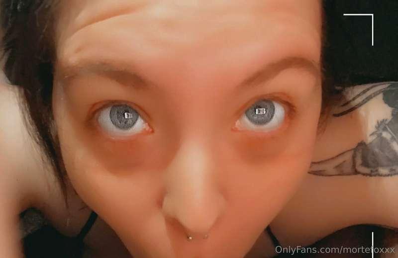 mortefoxxx image #1