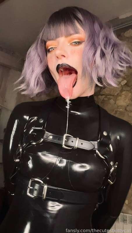 thecutestkittycat image #1