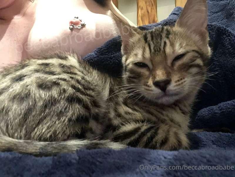 my friend just got a kitten hope u like pussy pics