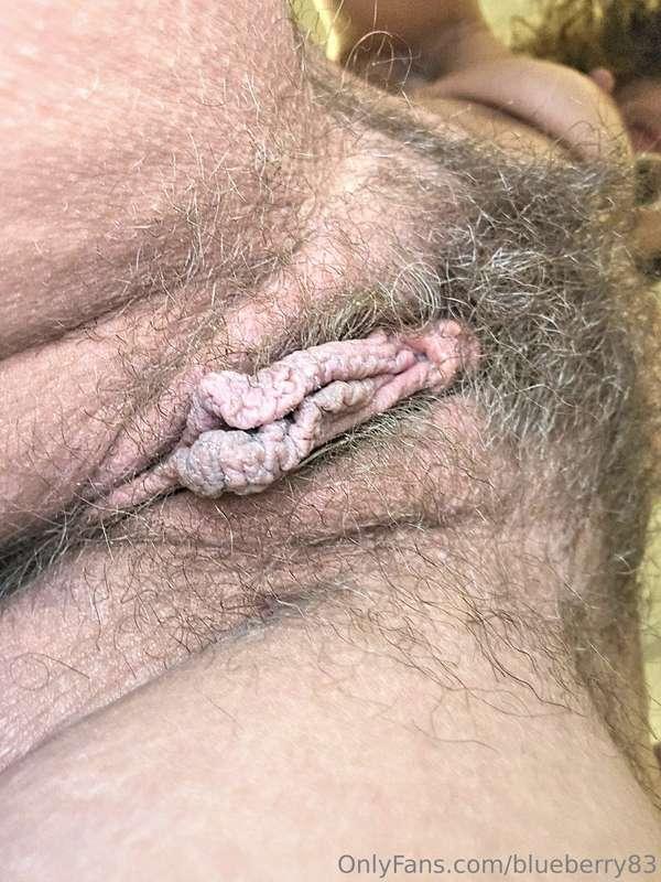 blueberry83 image #7