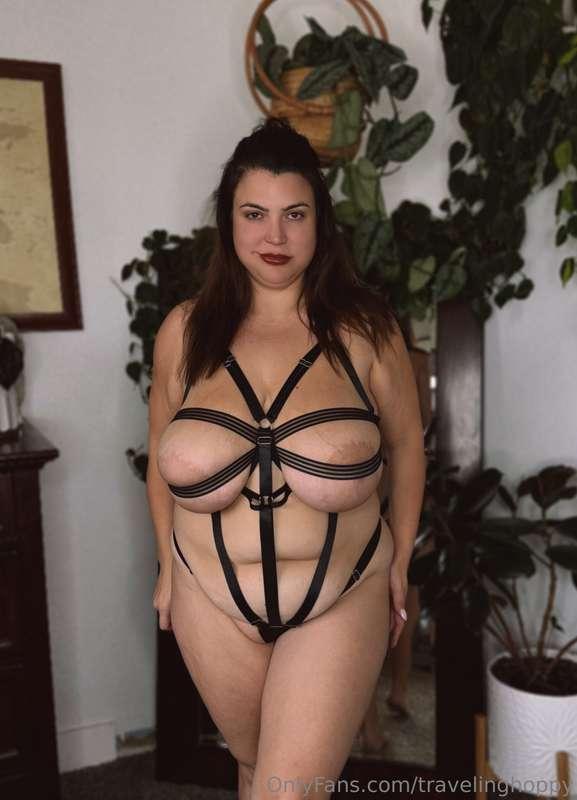 travelinghoppy image #4