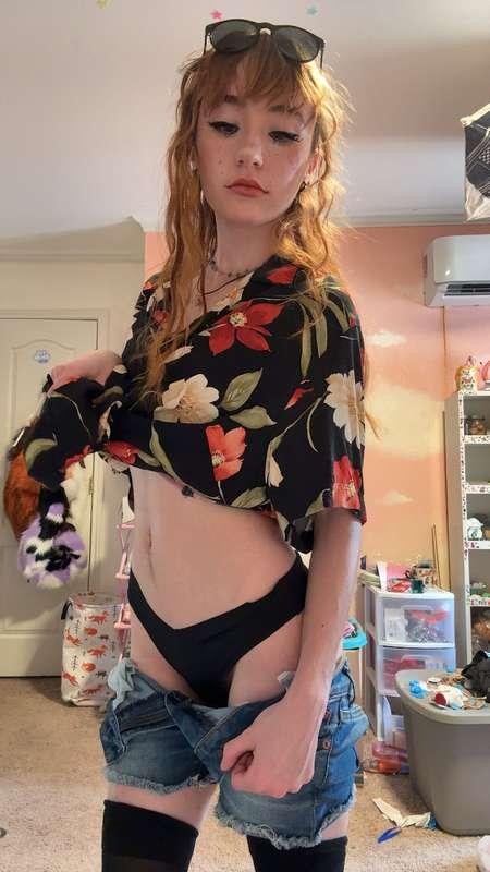 sun-ready sammy
