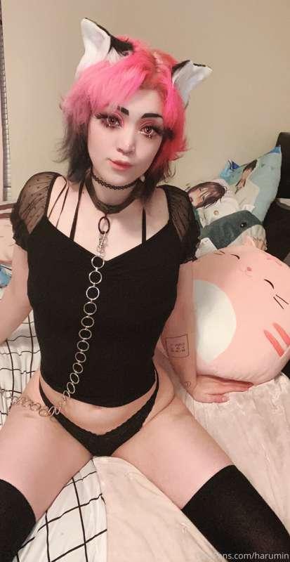 Cat girl nude set! Along with a video of me taking my shirt ..