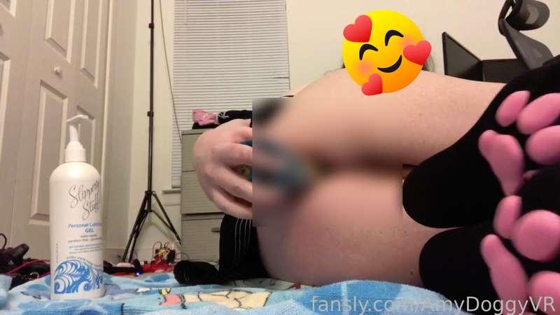 amydoggyvr image #2
