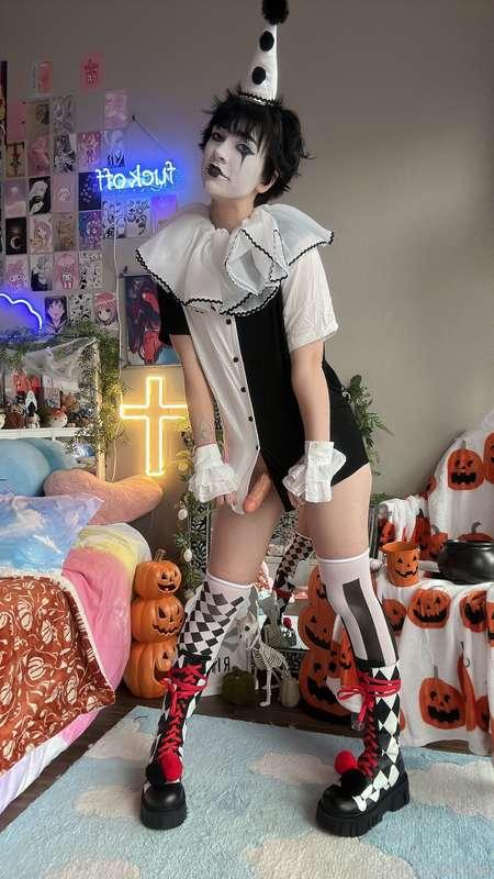 indigowhite image #30
