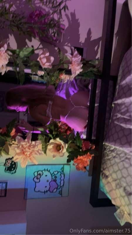 aimster.75 image #1
