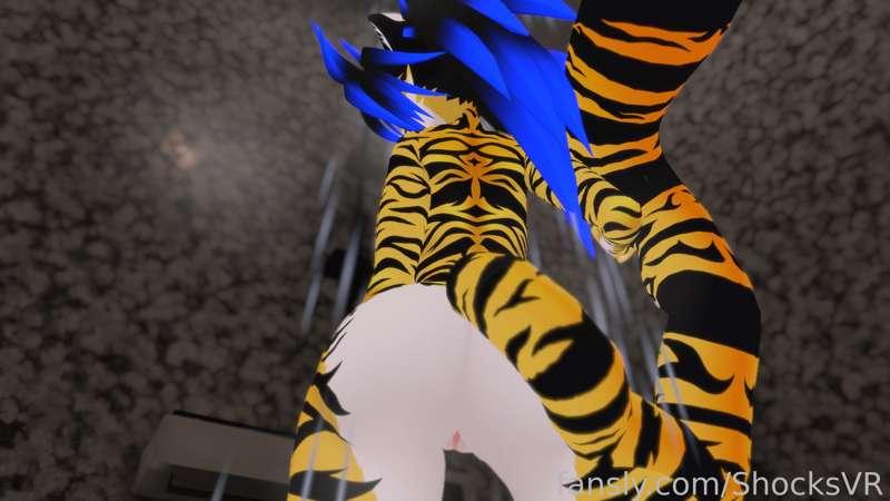 shocksvr image #8