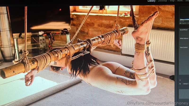 sooooo ive got a vault of incredible shibari pics from SINCE..