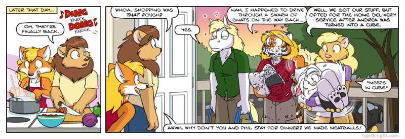 Flatpackers - 13
