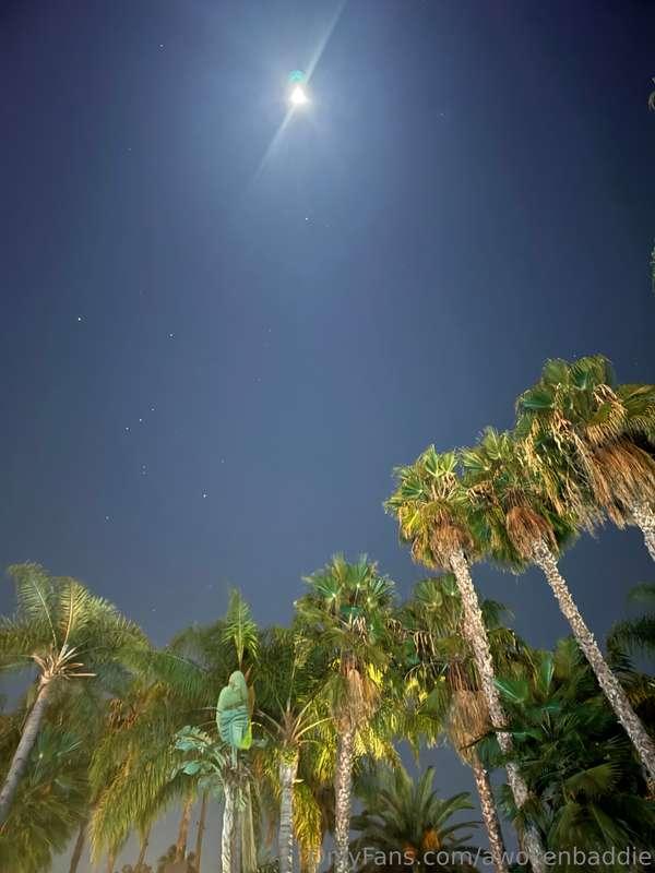 I’m going to start posting more on here, and some unreleased..