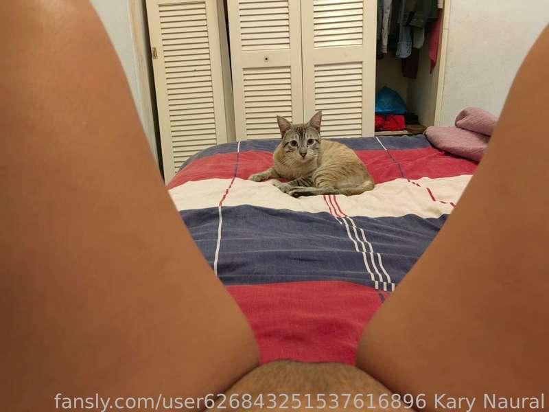 Mi gatito les manda saludos