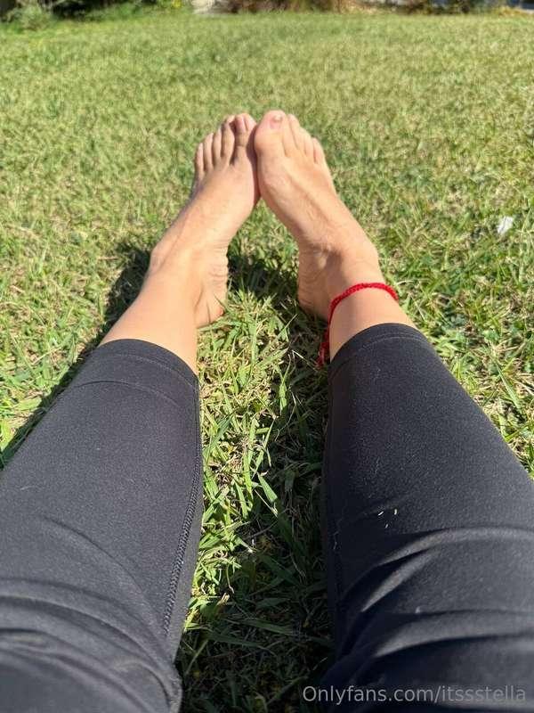 Sun’s out, feet up… trouble starts now