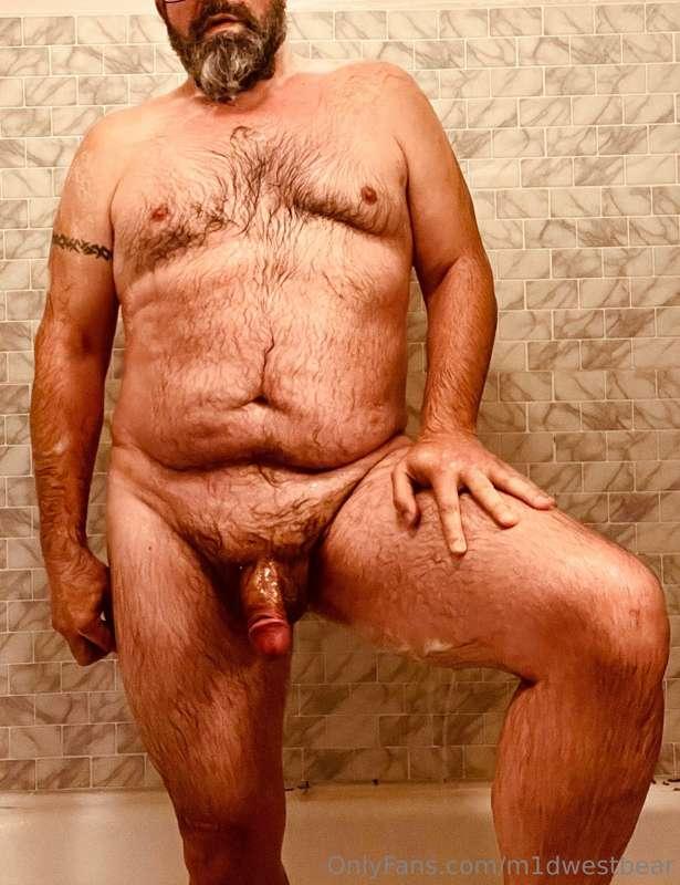 m1dwestbear image #3