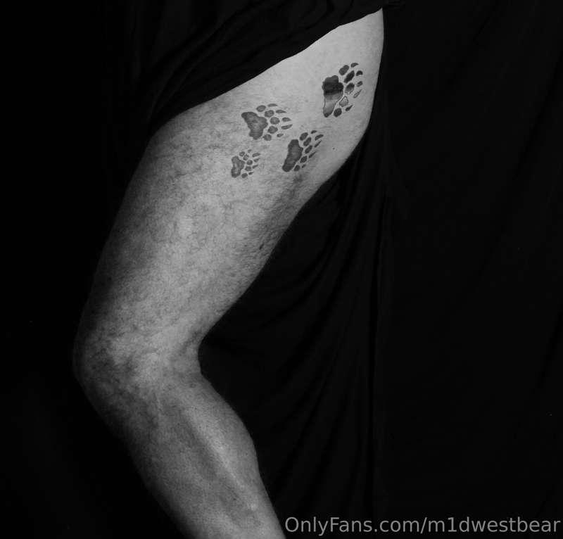 m1dwestbear image #7