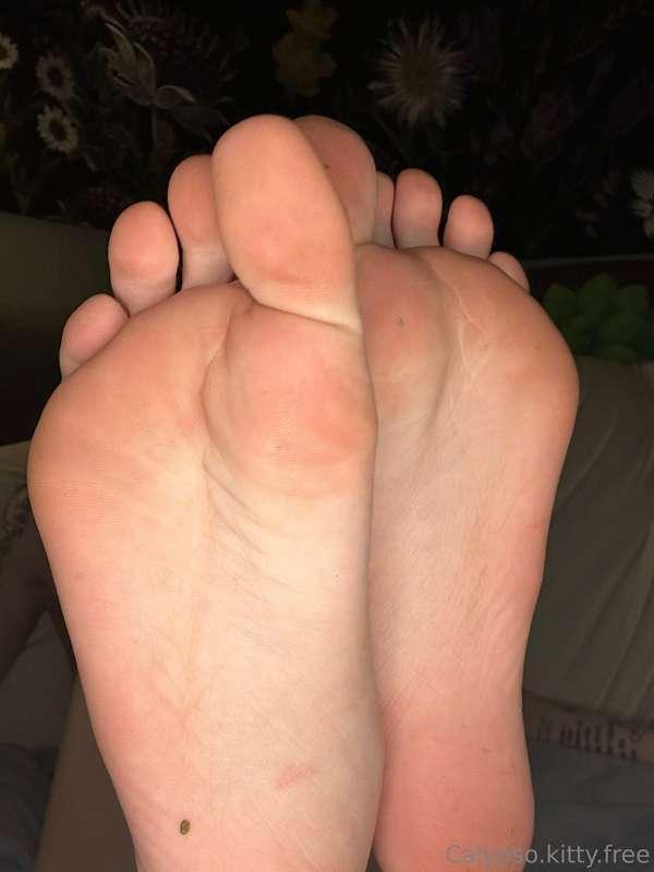 calypsokittyfree image #0