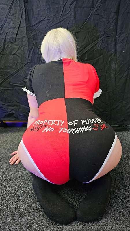 meowcatssidy image #0