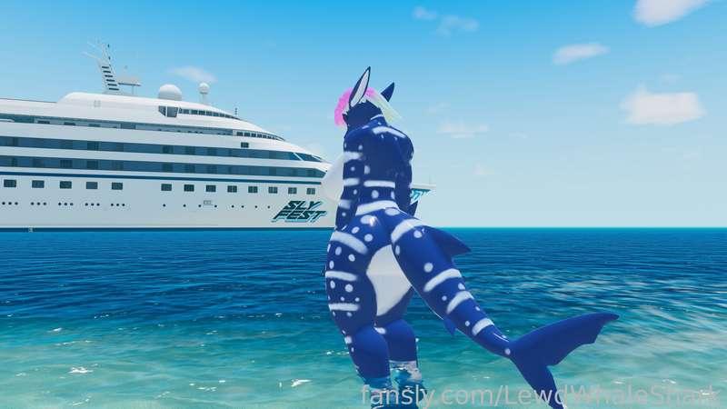 lewdwhaleshark image #3