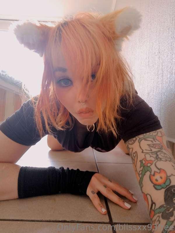 🦊🧡 isn't my foxtail buttplug ADORABLE? 🥰