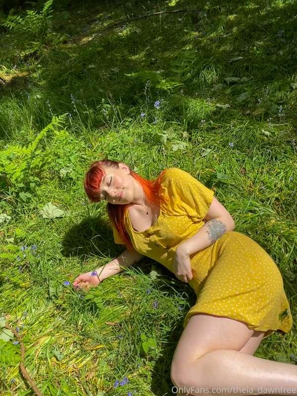 ☀️☀️☀️