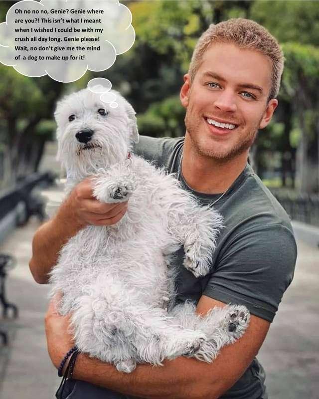 Adopted Wishes