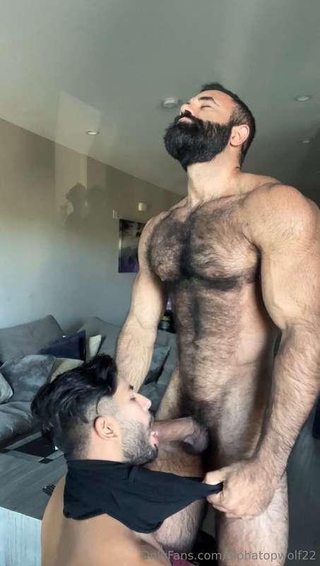 alphatopwolf22 image #7
