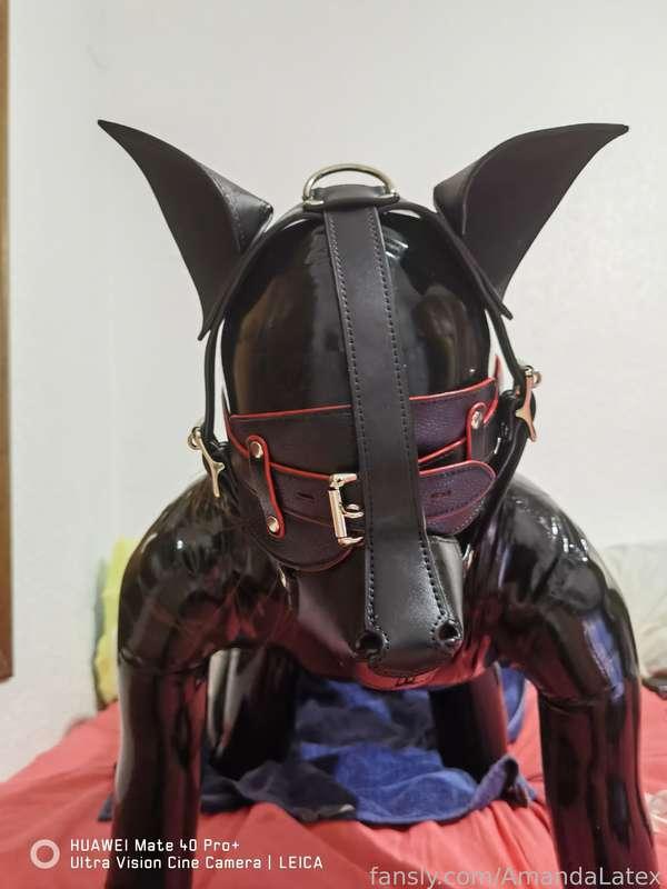 amandalatex image #6