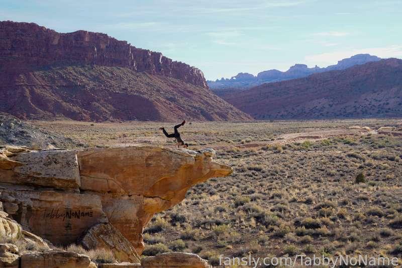 tabbynoname image #1