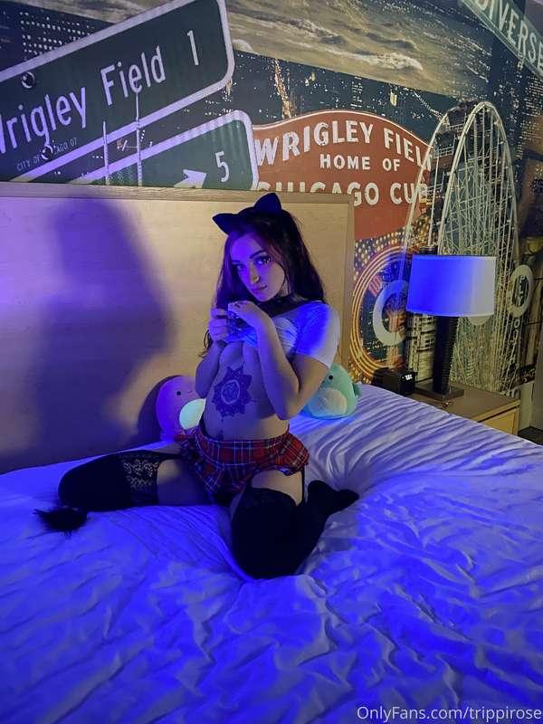 😻
