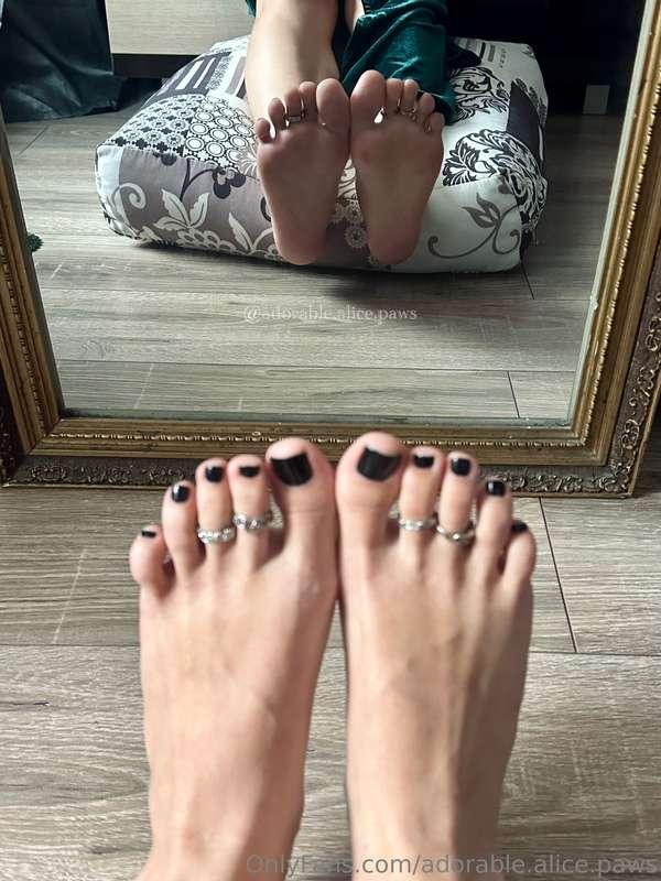 adorable.alice.paws image #7