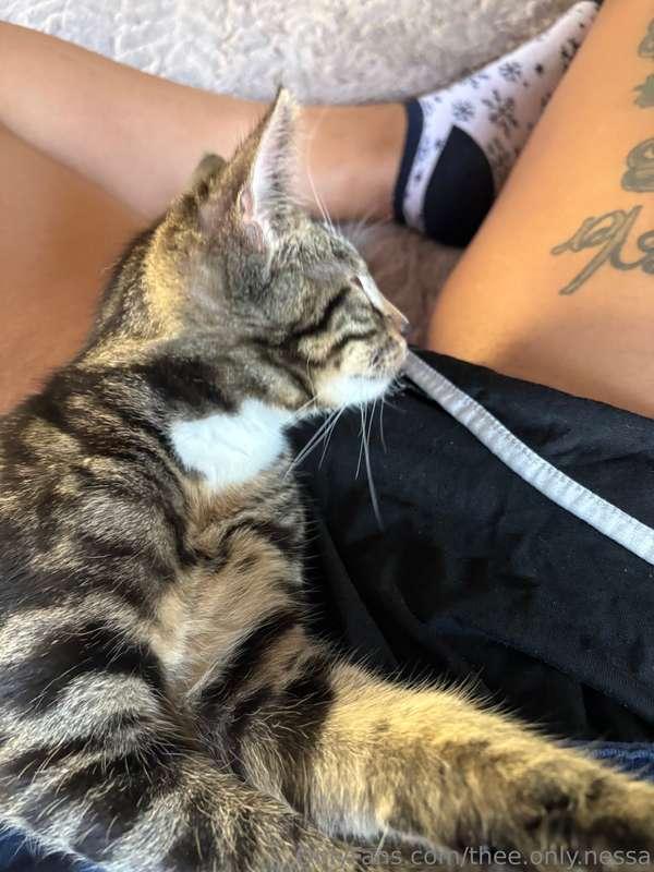 It’s a pussy on my pussy 😂🐱