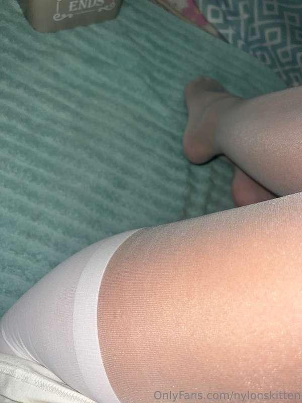 nylonskitten image #0