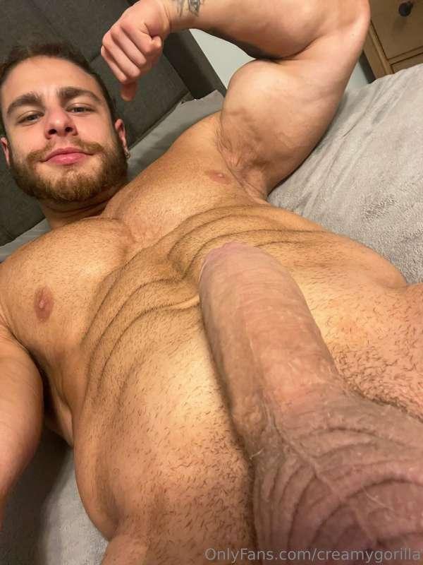 creamygorilla image #1