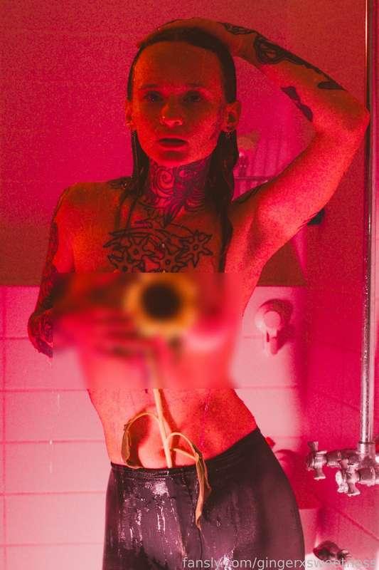 gingerxsweetness image #4