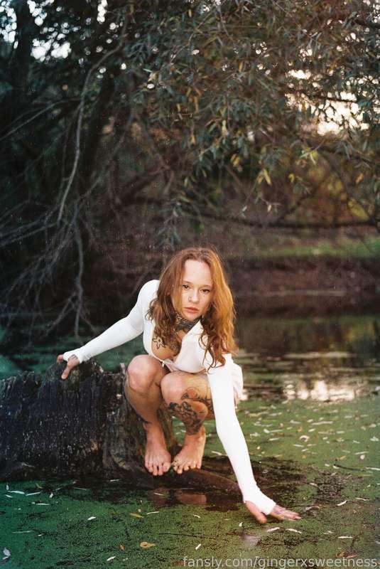 gingerxsweetness image #1