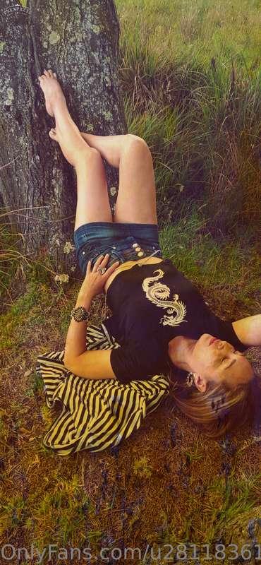 u281183610 main image