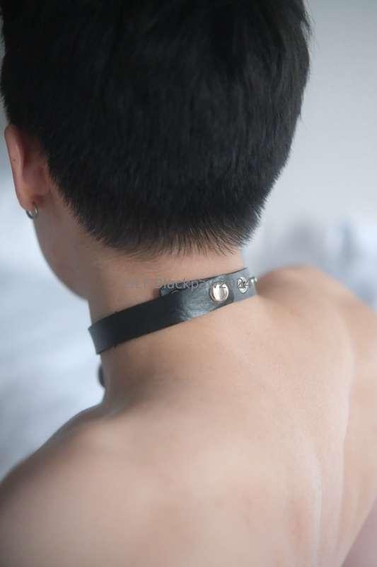 blackpaw2024 image #14