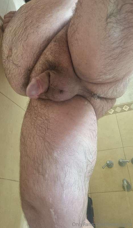 bearpamp image #2