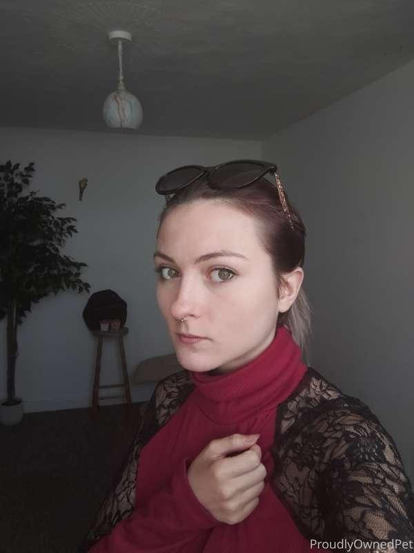 Trying to dress up vanilla today.. convincing ?