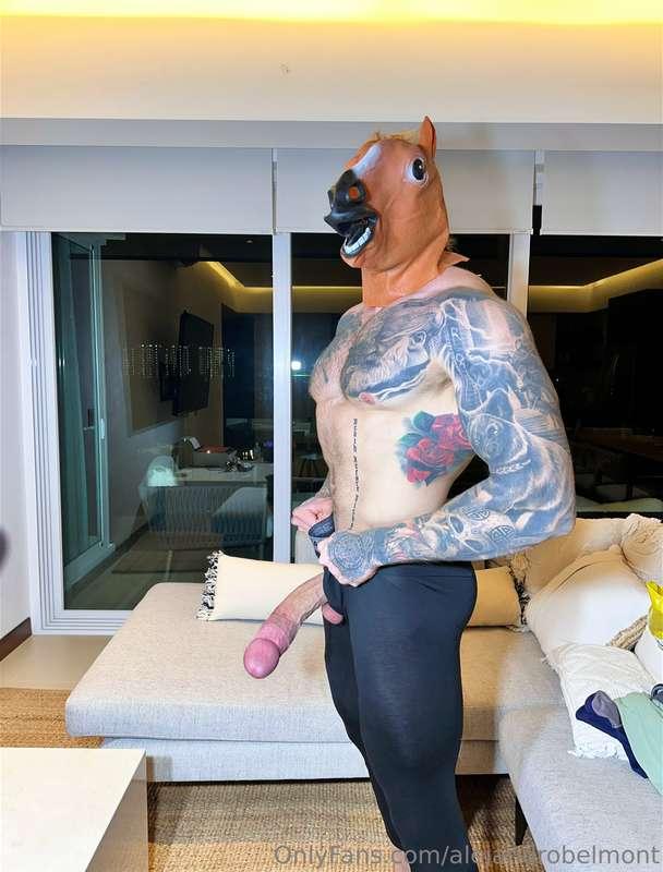 alejandrobelmont image #1