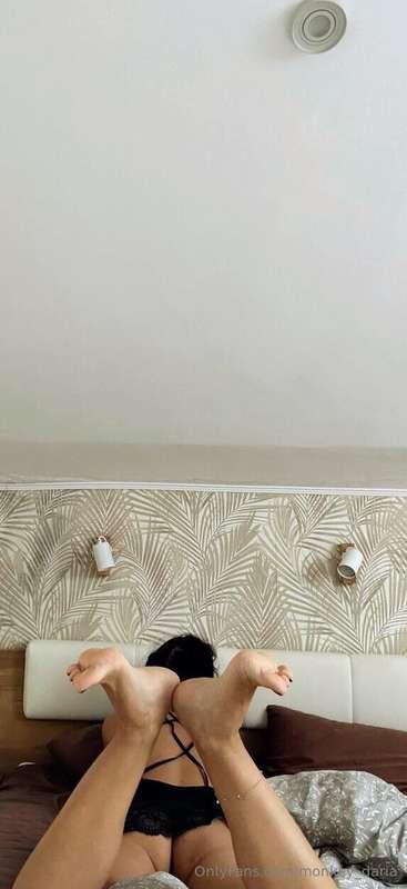 monkey_daria image #0