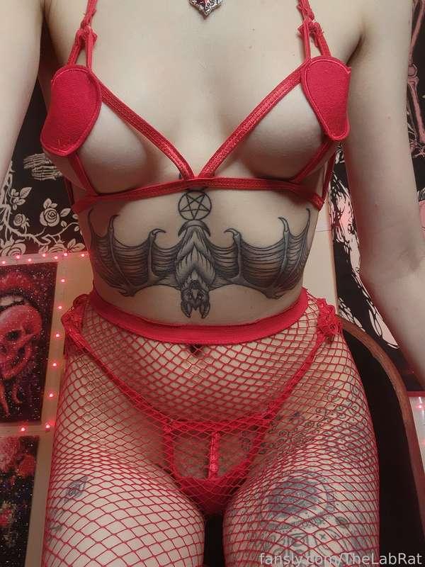 thelabrat image #4