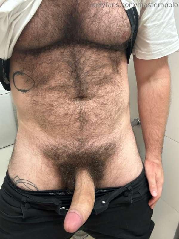 masterapolo image #2